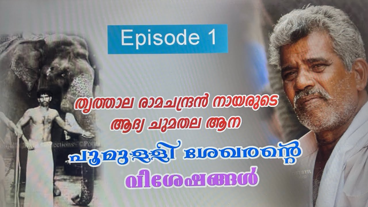 തൃത്താല രാമചന്ദ്രൻ നായരുടെ ജീവിതാനുഭവം 