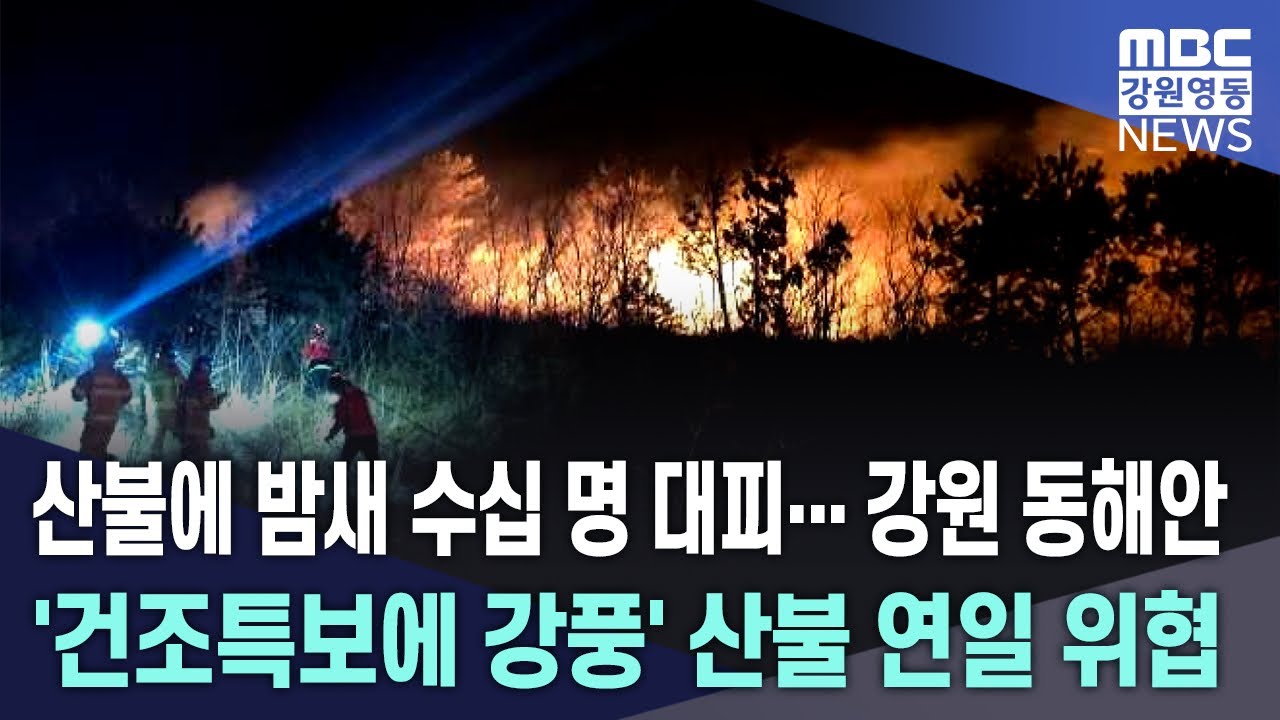 산불에 밤새 수십 명 대피... 강원 동해안 '건조특보에 강풍' 산불 연일 위협20260223