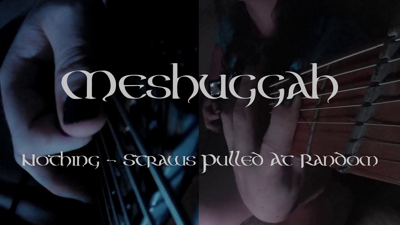 Meshuggah - Straws Pulled at Random Guitar Cover (w/Tab&Lyrics