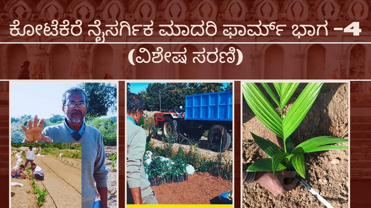 ಕೋಟೆಕೆರೆ ನೈಸರ್ಗಿಕ ಮಾದರಿ ಫಾರ್ಮ್ ಭಾಗ -4 (ವಿಶೇಷ ಸರಣಿ) {ಗ್ಲಿರಿಸಿಡಿಯಾ ಮತ್ತು ಅಡಿಕೆ ಫಾರ್ಮ್ ಮಾದರಿ}