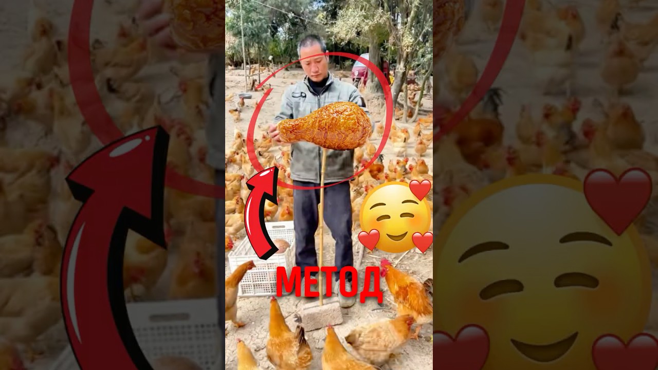 🐔 Почему в Китае кормят кур таким способом! #куры #ферма #еда