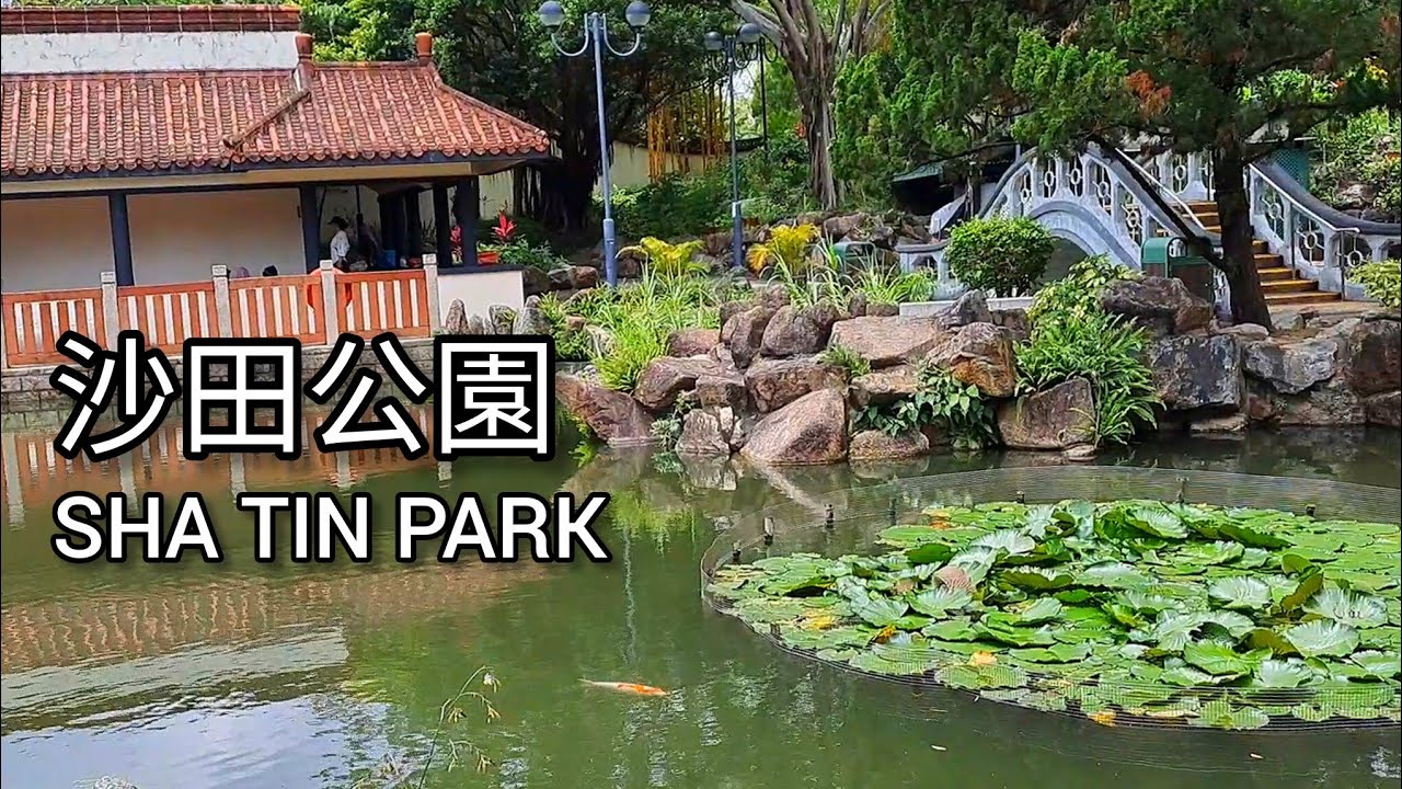 Jalan - jalan ke  Sha Tin Park Hong Kong | Explore Hong Kong