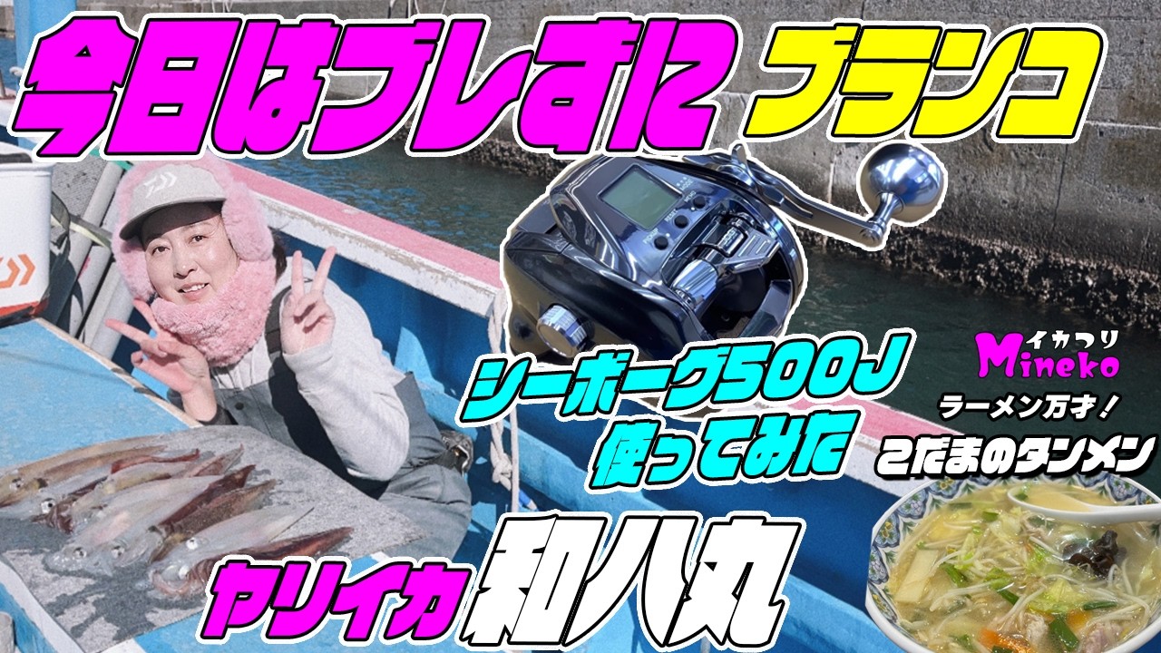 【26シーボーグ500J使ってみた】今日はブレずにブランコヤリイカ！勝浦でヤリイカ釣り！イカつりMinekoのラーメン万才はファミリーレストランこだまさんで今日はタンメンとポークソテー