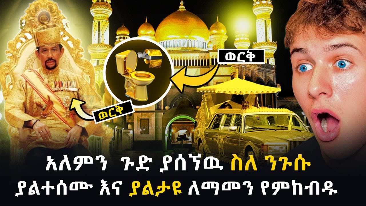 አለምን ጉድ ያስኘዉ ስለ ንጉሱ ያልታዩ እና ያለተሰሙ ለማመን የምከዱ  ተግባሮች  |Brunei @abelbirhanu1 @donkeytube.eshetumelese@ethioforum