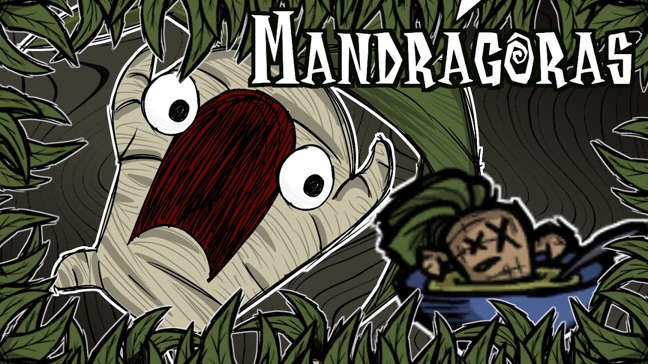 Mandrágoras | Don’t Starve | GUÍA