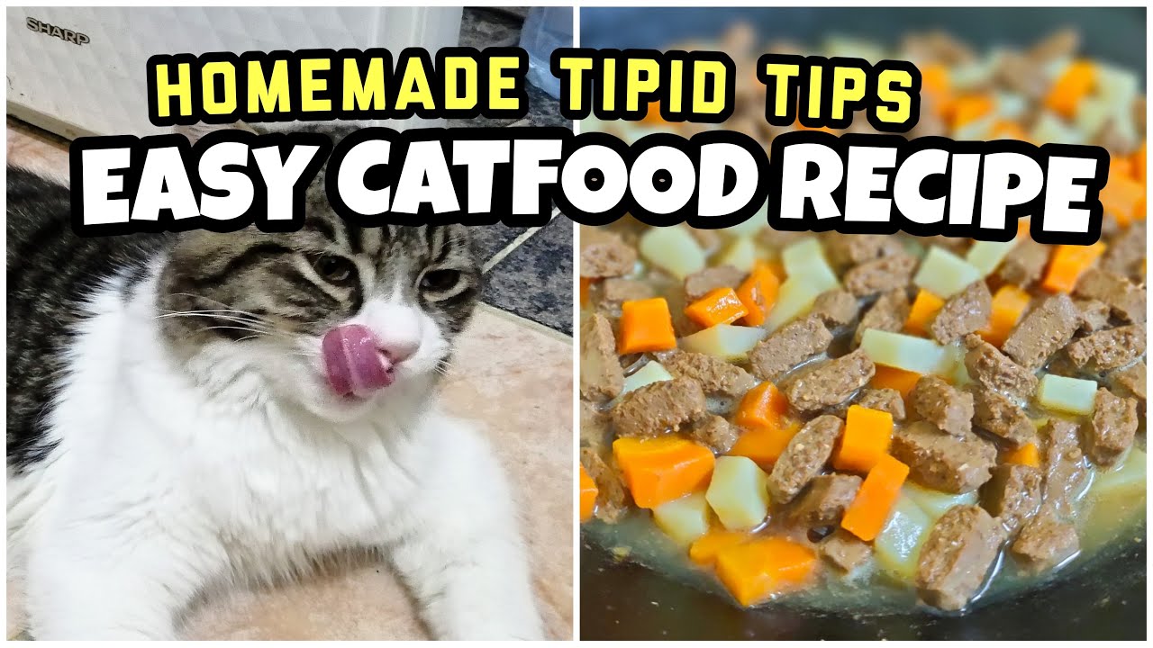 Cat food home recipe | Paano makakatipid sa budget para sa pagkain ng mga alagang pusa