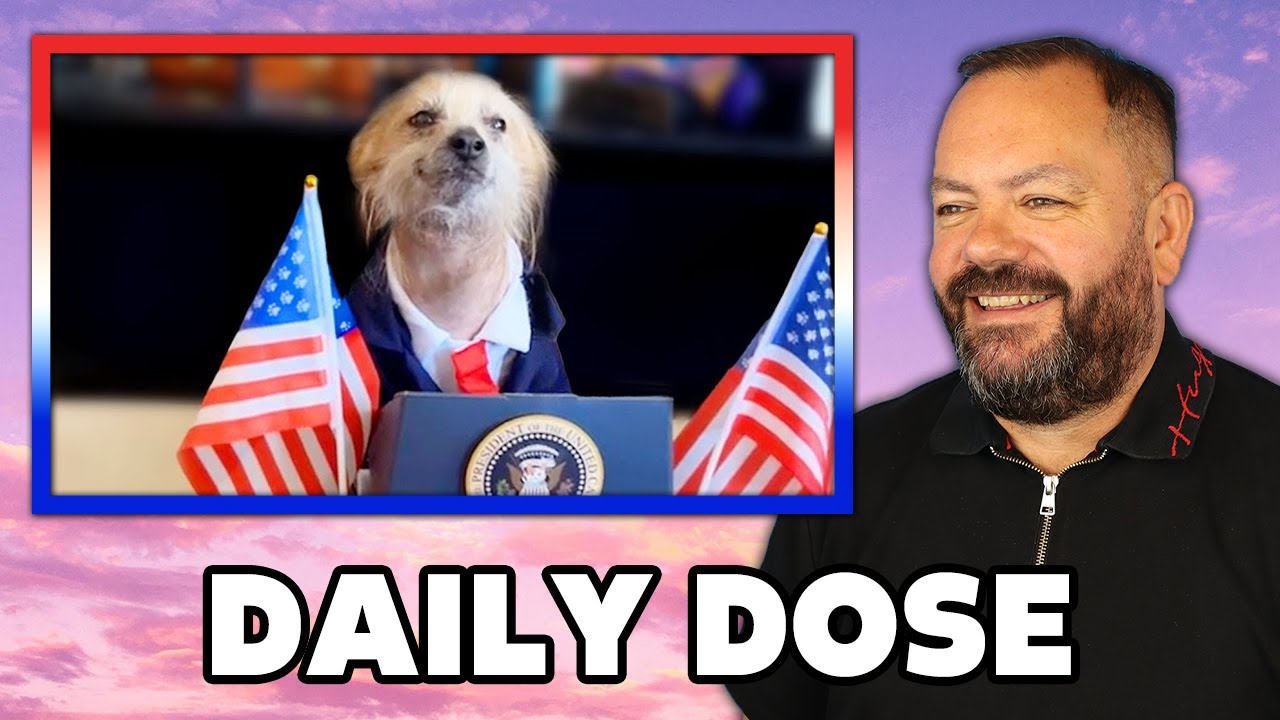 Best Pet Videos of the Decade REACTION | OFFICE BLOKES REACT!!