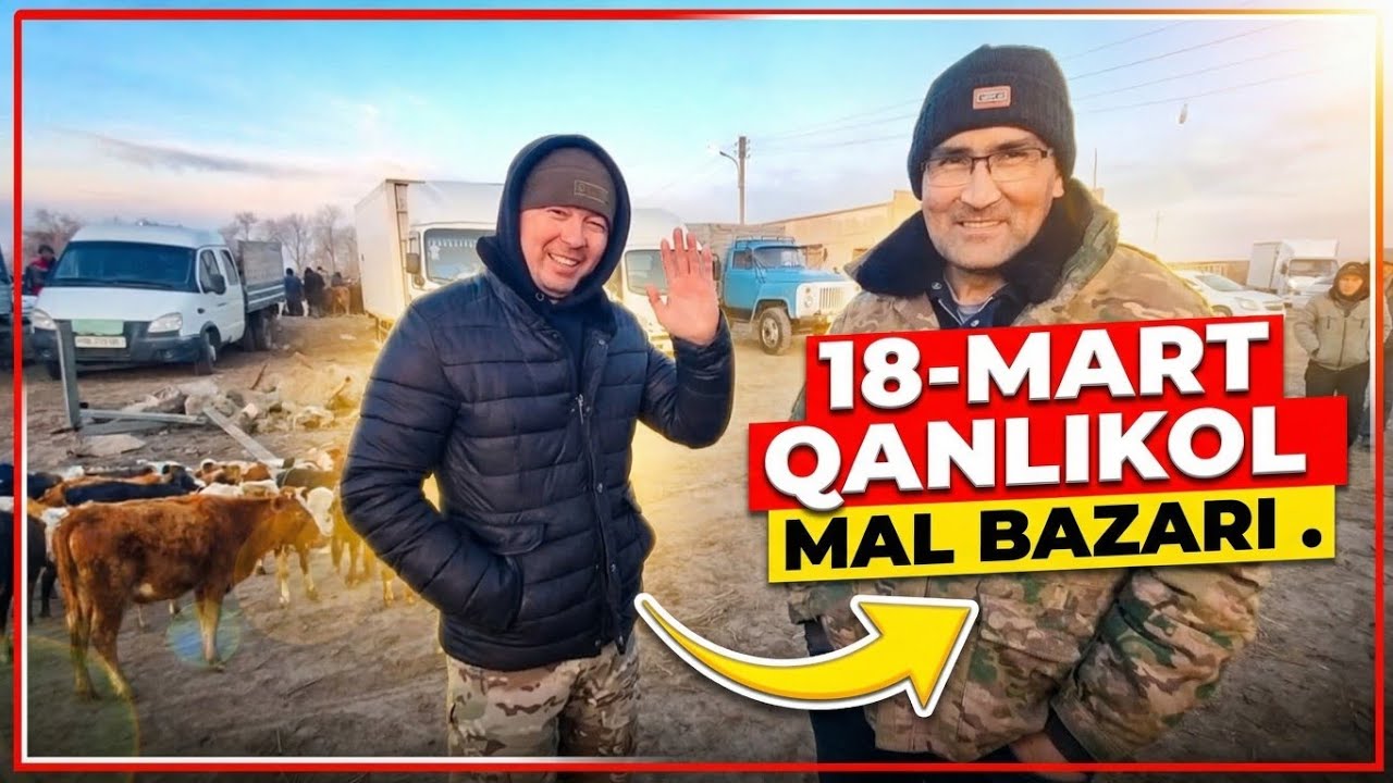 18-МАРТ/КАНЛЫКОЛ МАЛ БАЗАРЫ/СКОТНЫЙ РЫНОК/BUQALAR/BIG BULLS IN THE WORLD/BIG COW