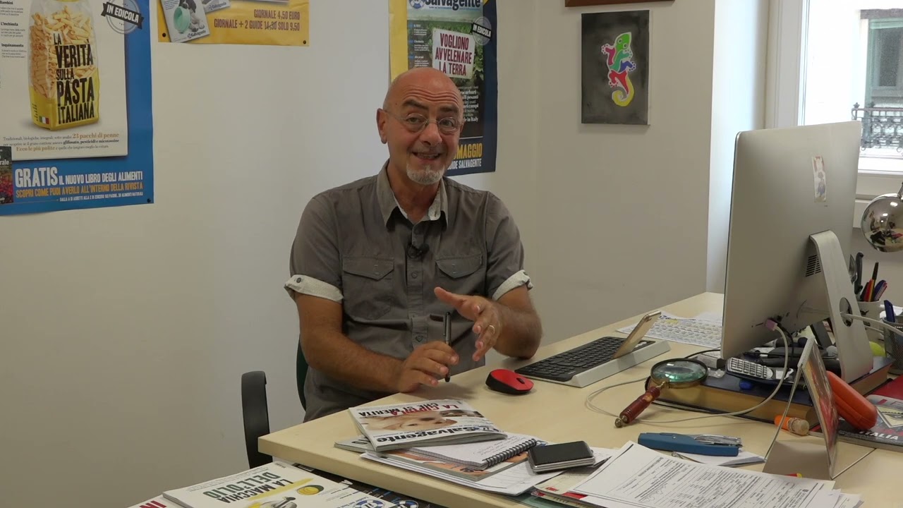 Cosa c'è nel cibo per cani? Abbiamo analizzato in laboratorio diversi marchi...