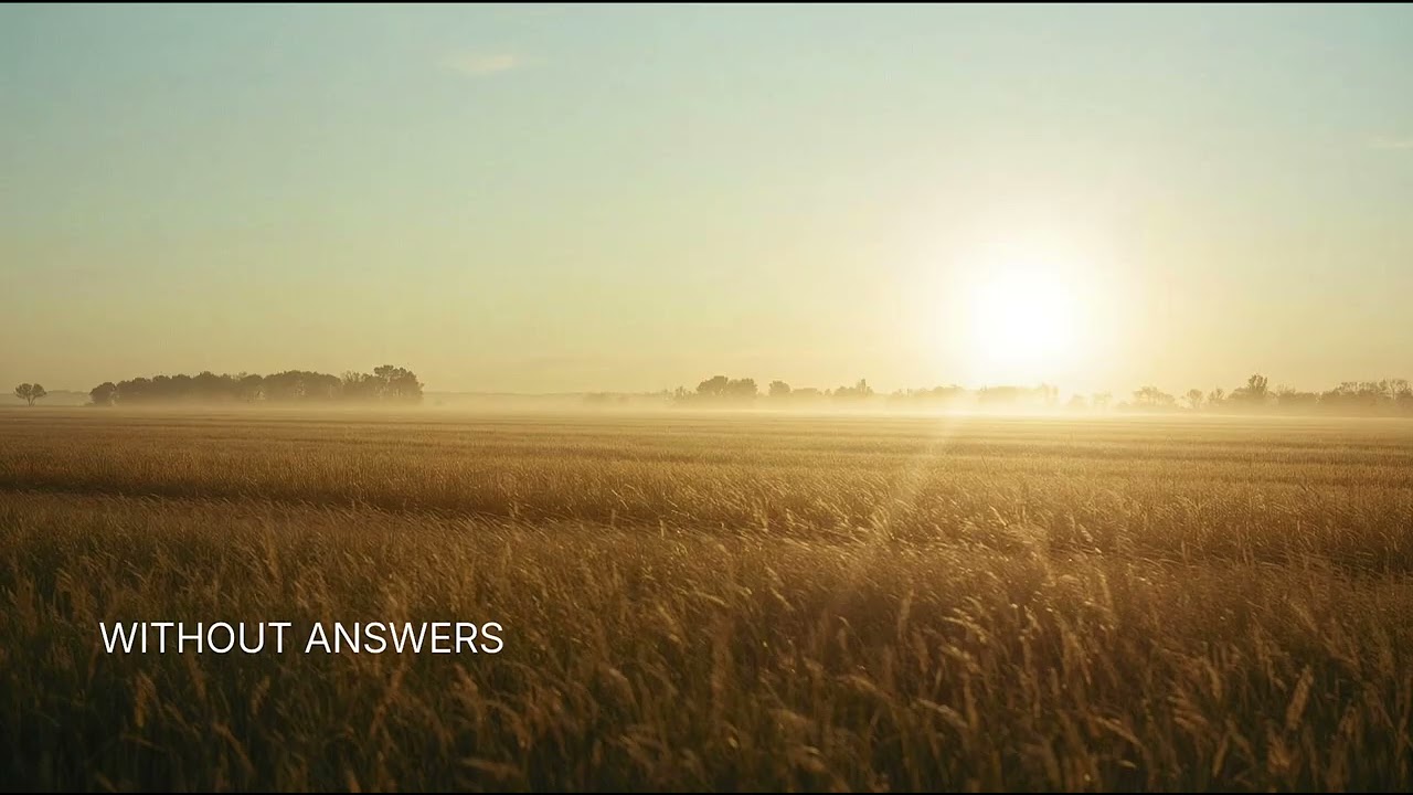 WITHOUT ANSWERS