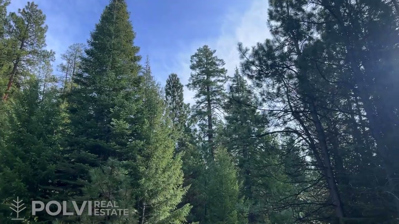 Rudio Mountain Ranch