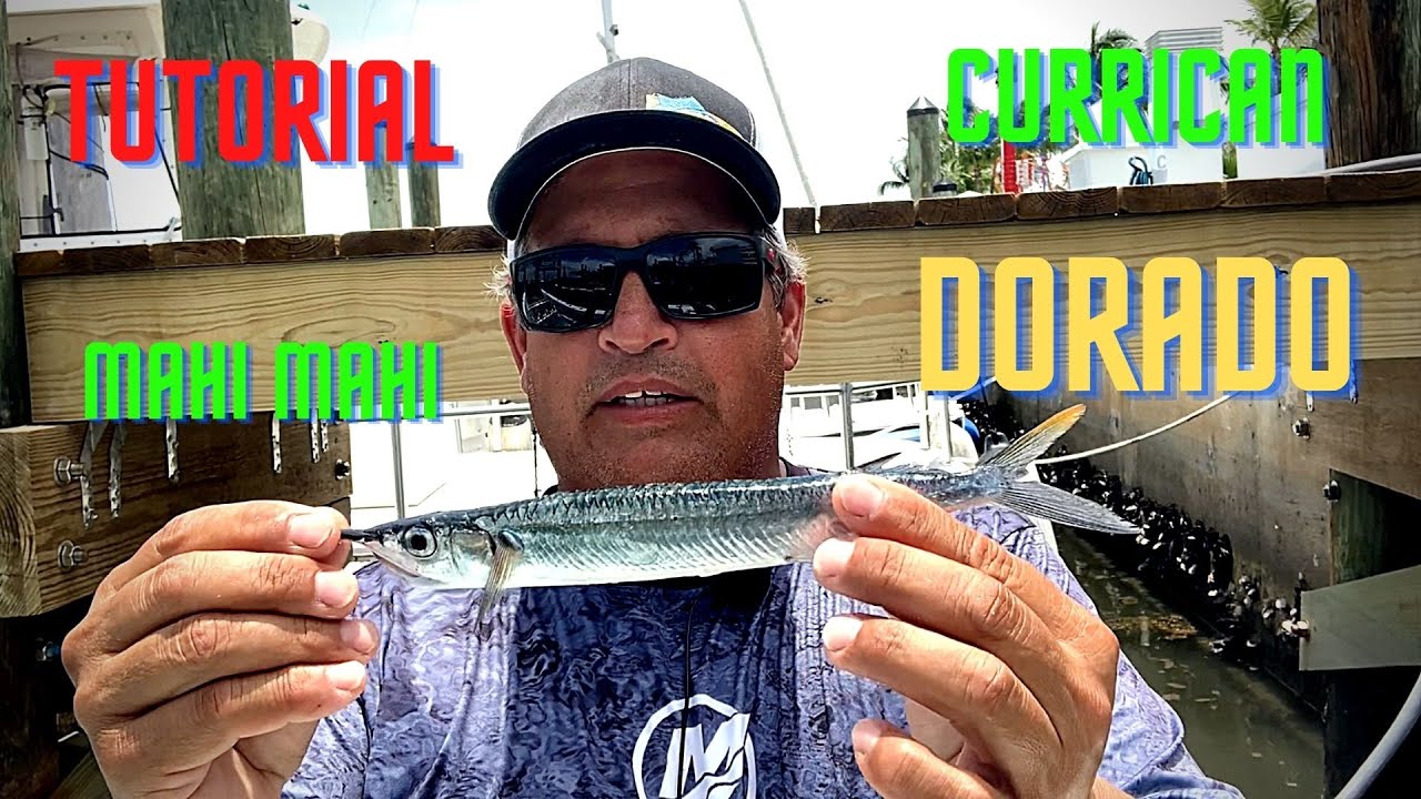 Como Preparar Un Ballyhoo o Escribano Para Curricaniar - Trolling #dorado