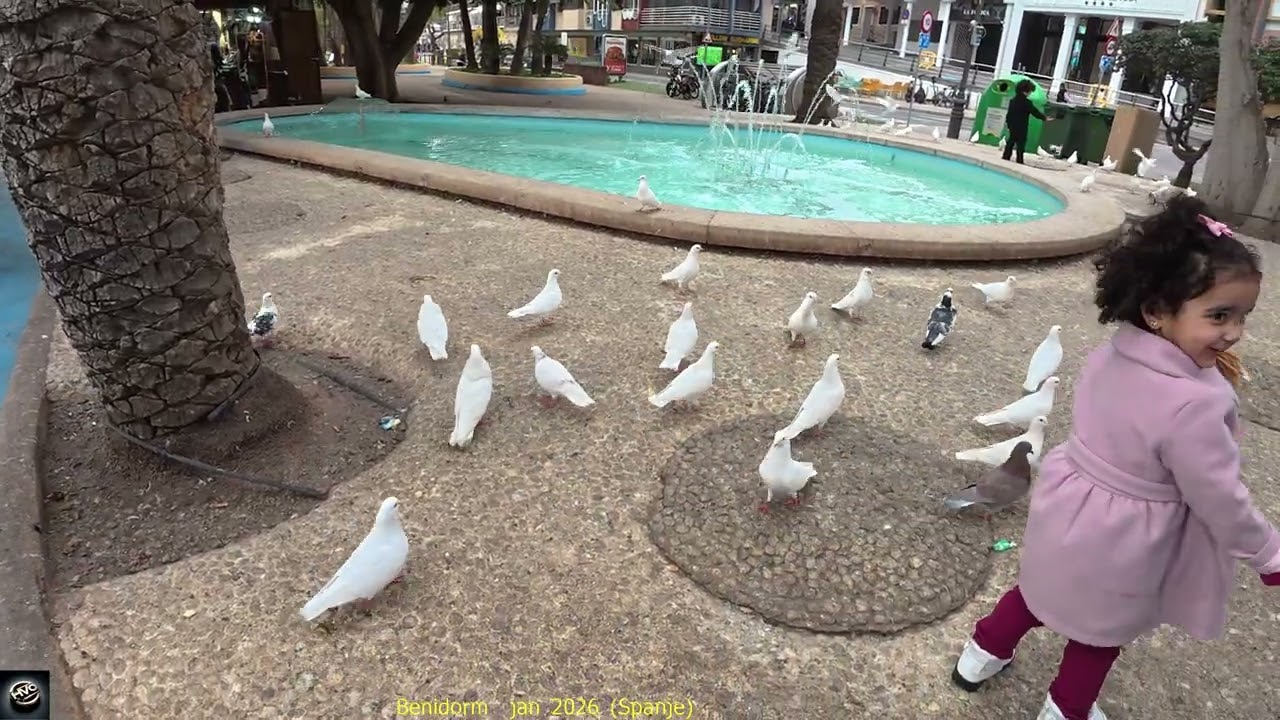 Benidorm jan 2026 Spanje t Watermark DJi Video