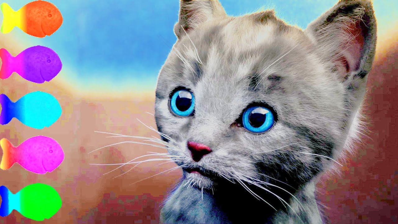 Cute Little Kitten 🧸 Goes On A Fun Journey To Learn And Play With Animal Friends 🐶📚