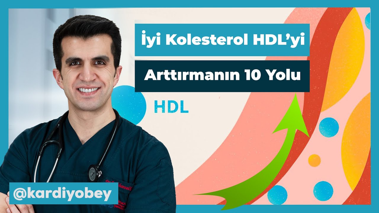 İyi Kolesterol HDL' yi Arttırmanın 10 Yolu