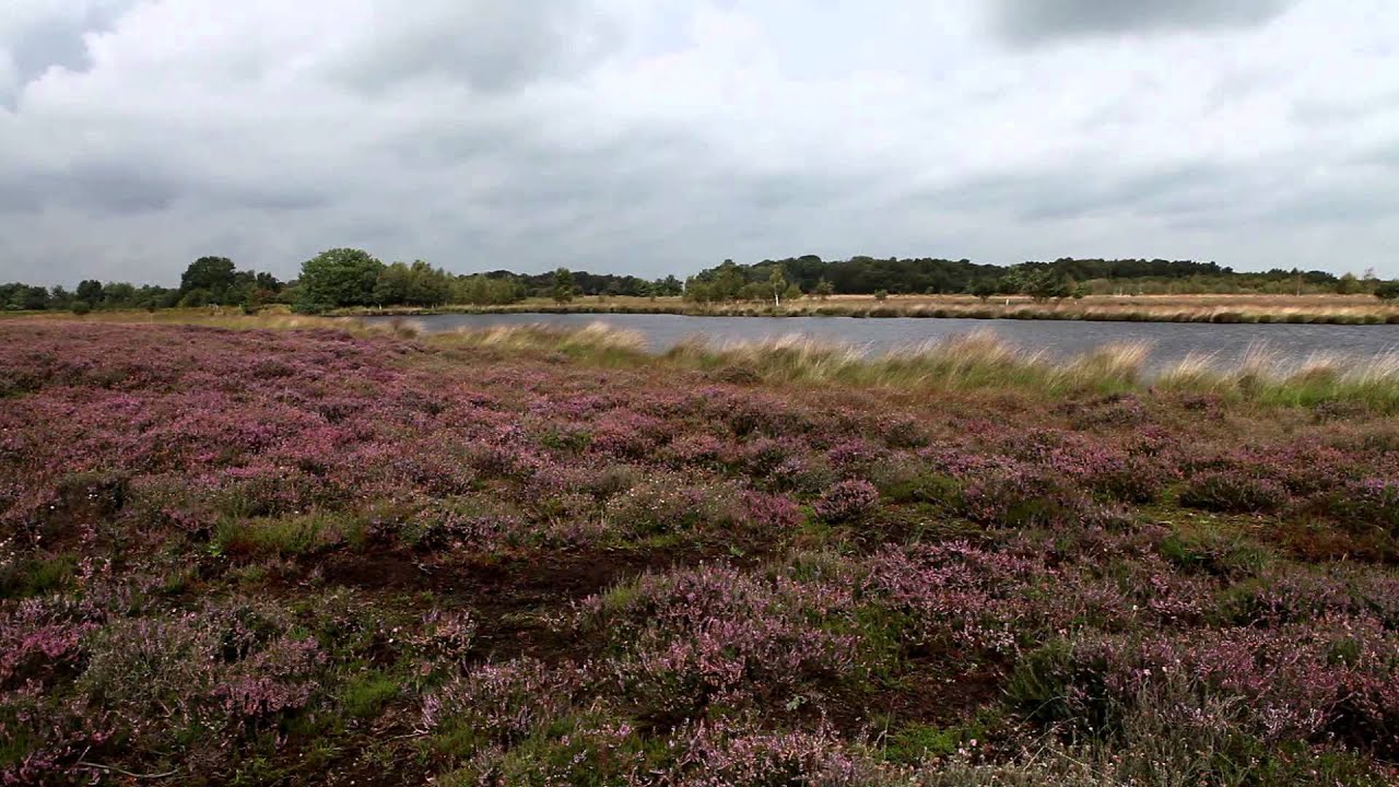 Groeten Drenthe - De Hondsrug