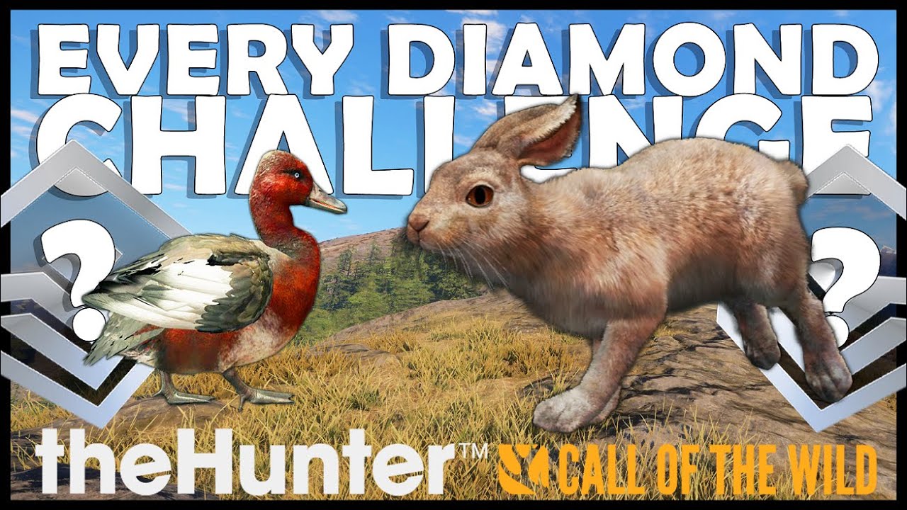 ONE DIAMOND CLOSER to Having Them ALL!!! - Every Diamond Challenge Ep. 28
