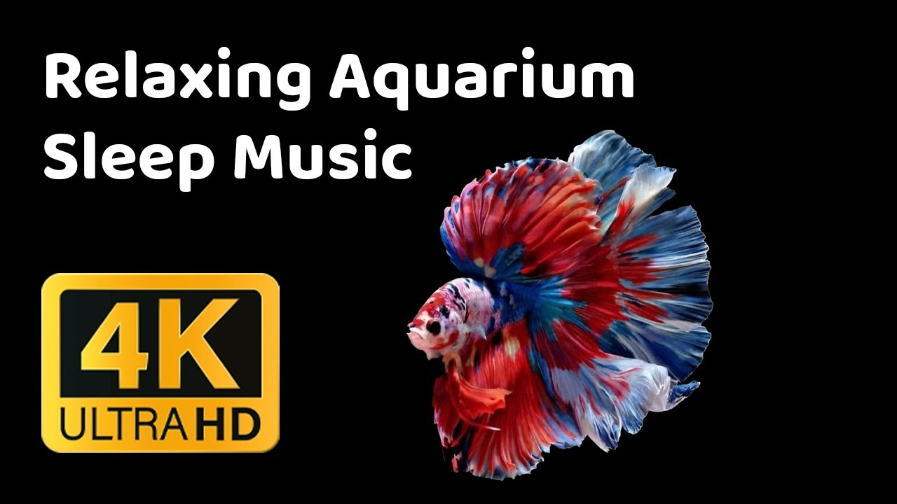Relaxing Aquarium Sleep Music  Insomnia Relief & Night Calm