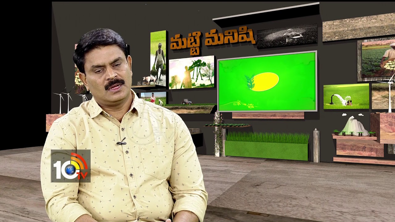 యాసంగి పంటలు.. వివరాలు… | Yasangi Cultivation Methods | Matti Manishi | 10TV