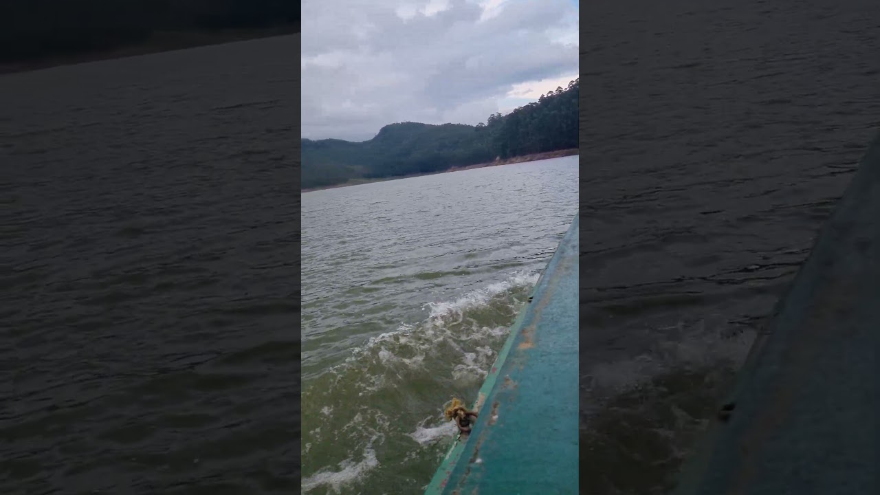 Mattupatti dam #munnar #kerala #viral #travel #shorts #boating