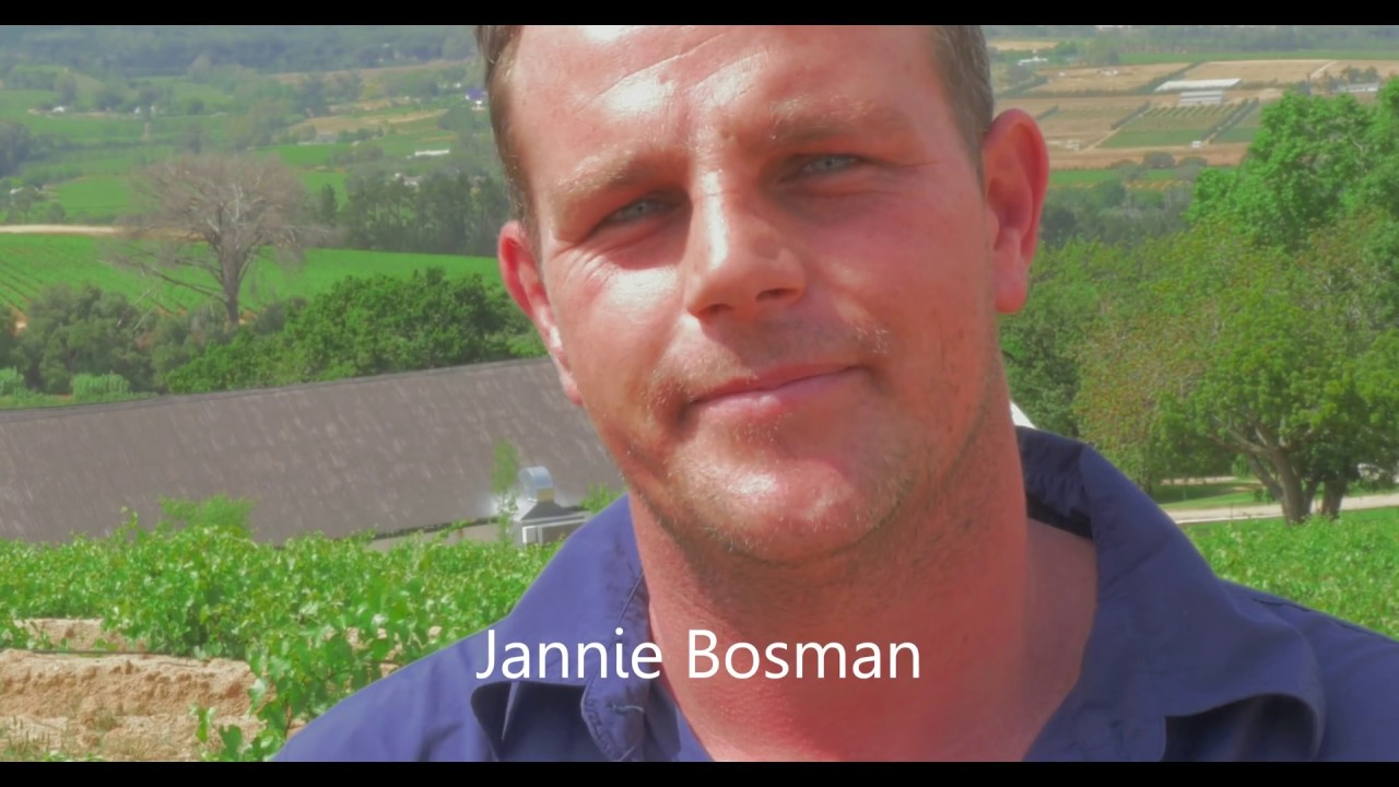 BOSMAN FAMILY WINES