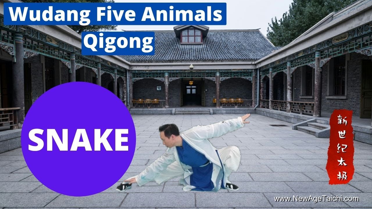 Wudang Five Animal Qigong : Snake