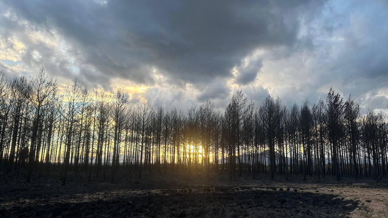 León. Las Cenizas del Abandono
