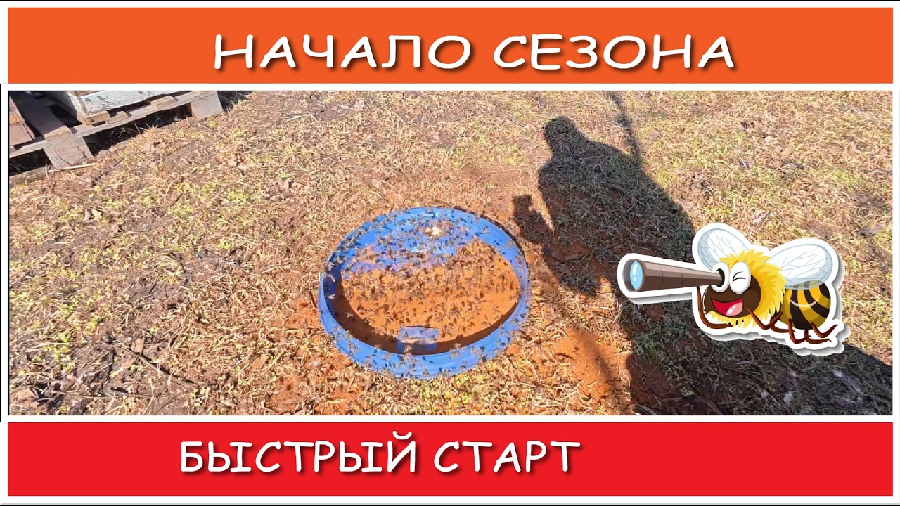 Сезон открыт! Первые работы для быстрого развития семей!
