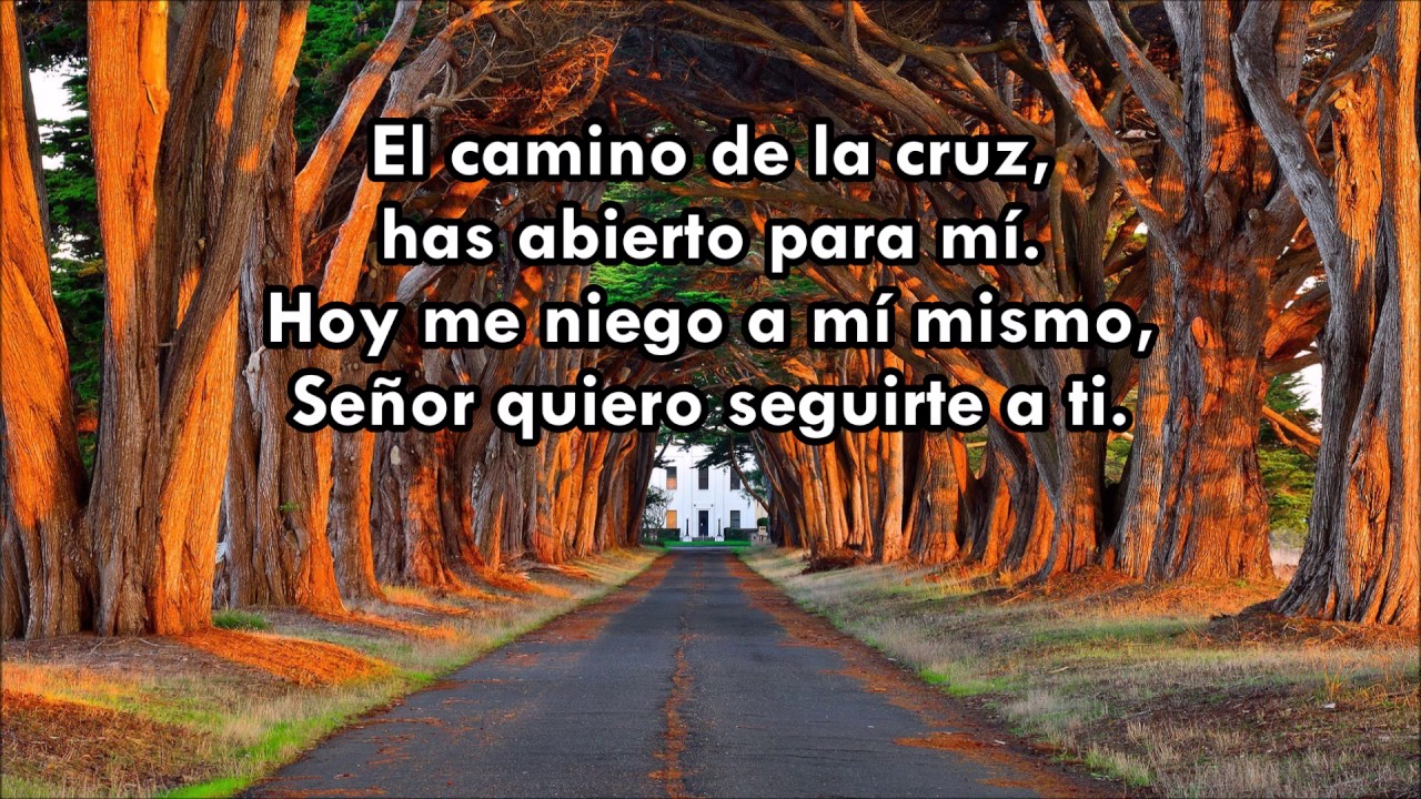 El camino de la cruz