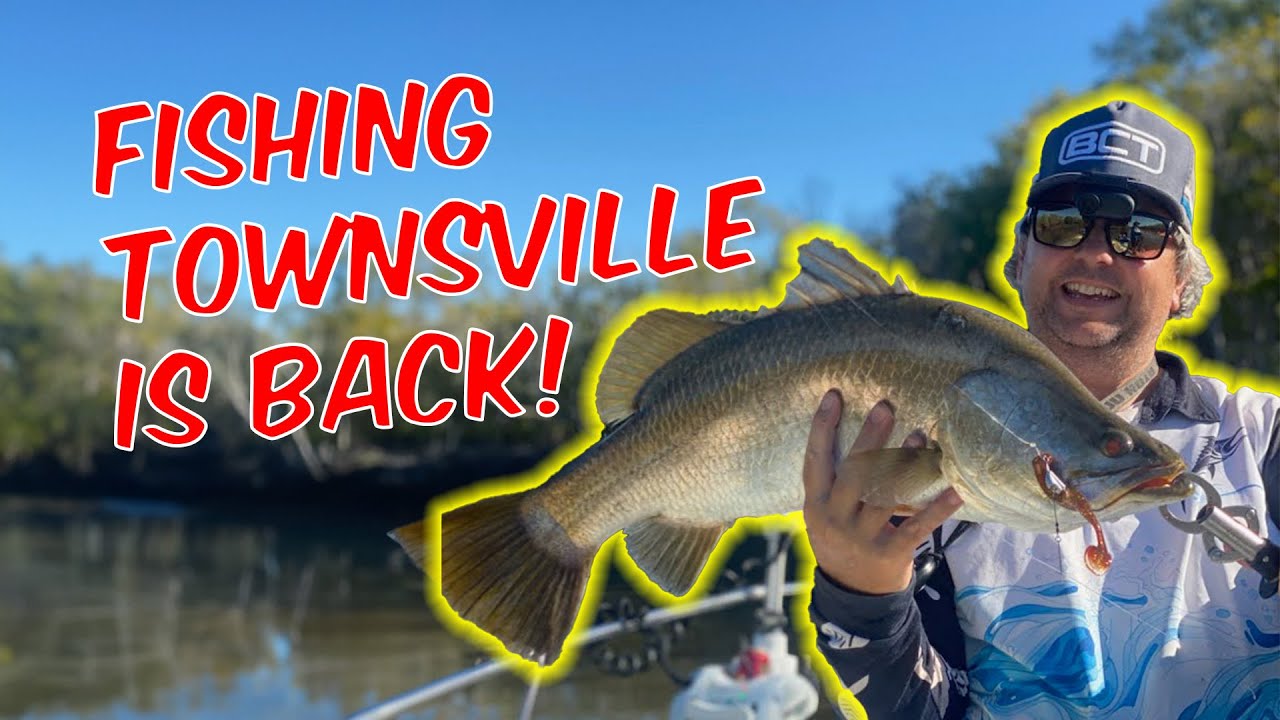 An arvo down Morriseys