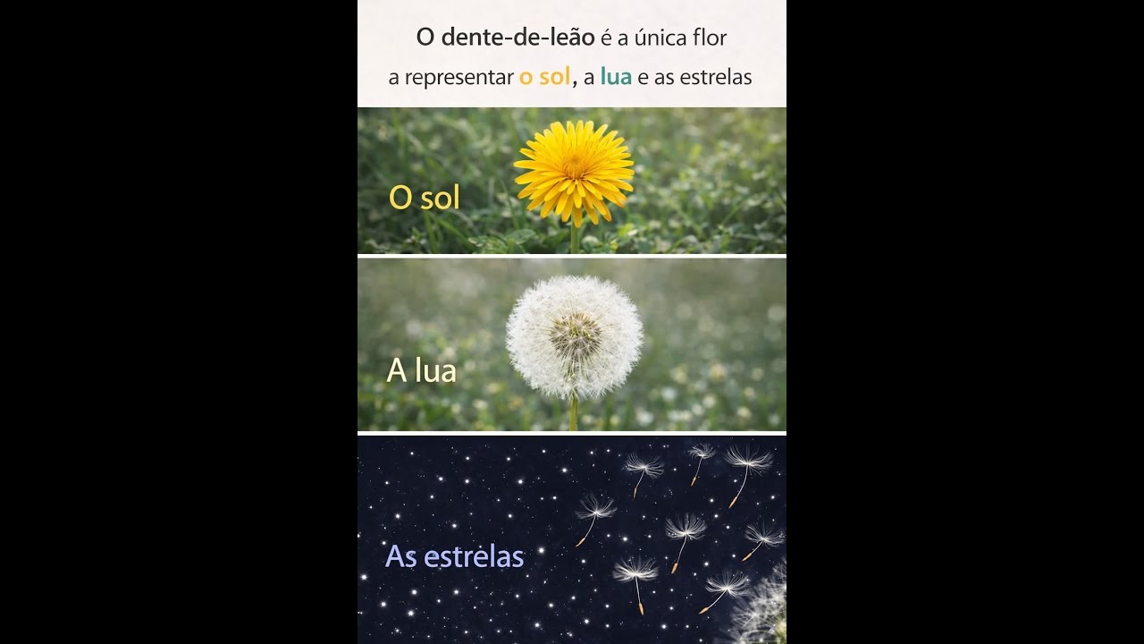 CÉUS ABERTOS 143