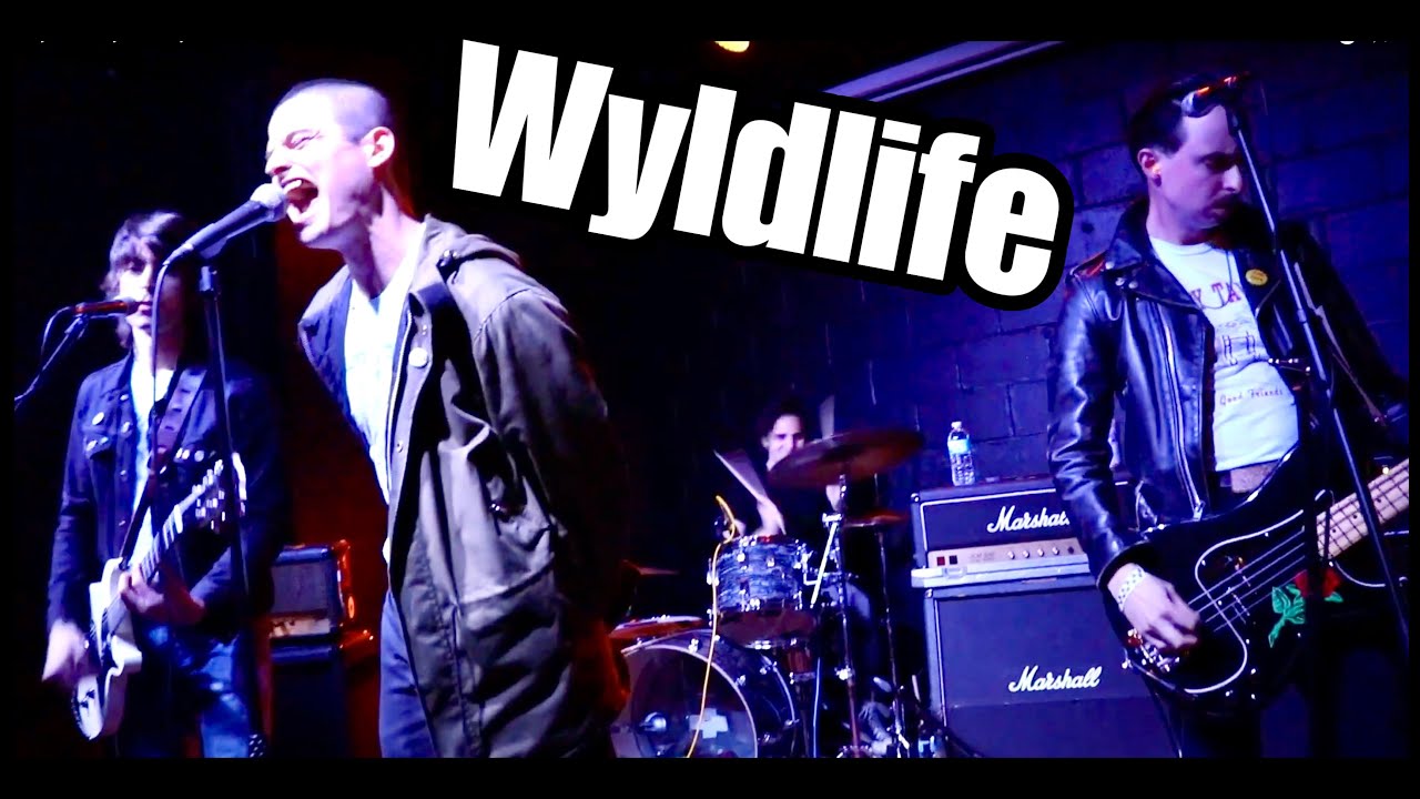 Wyldlife - Wyld In Indy 2019