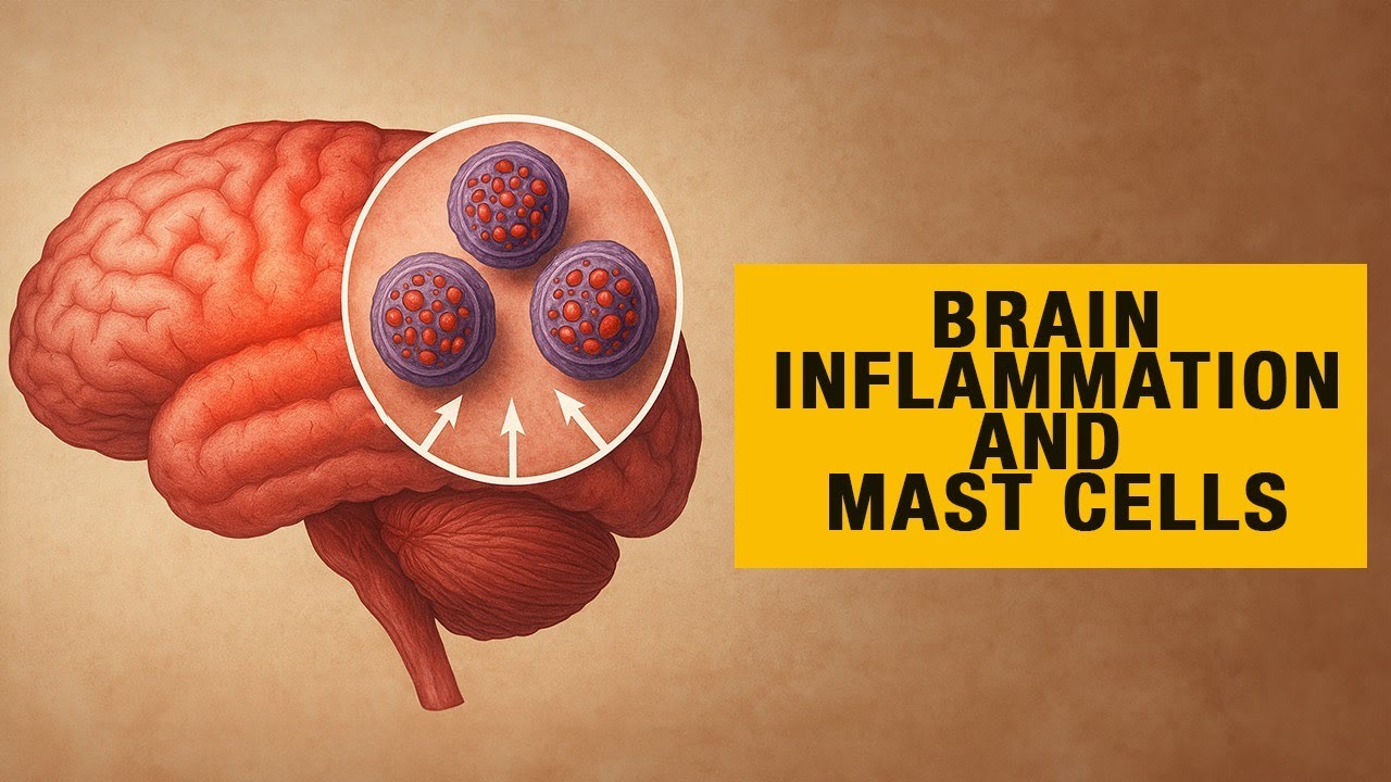 Mast Cells: Friend or Foe? with Dr. Theoharis Theoharides (Ep 151)
