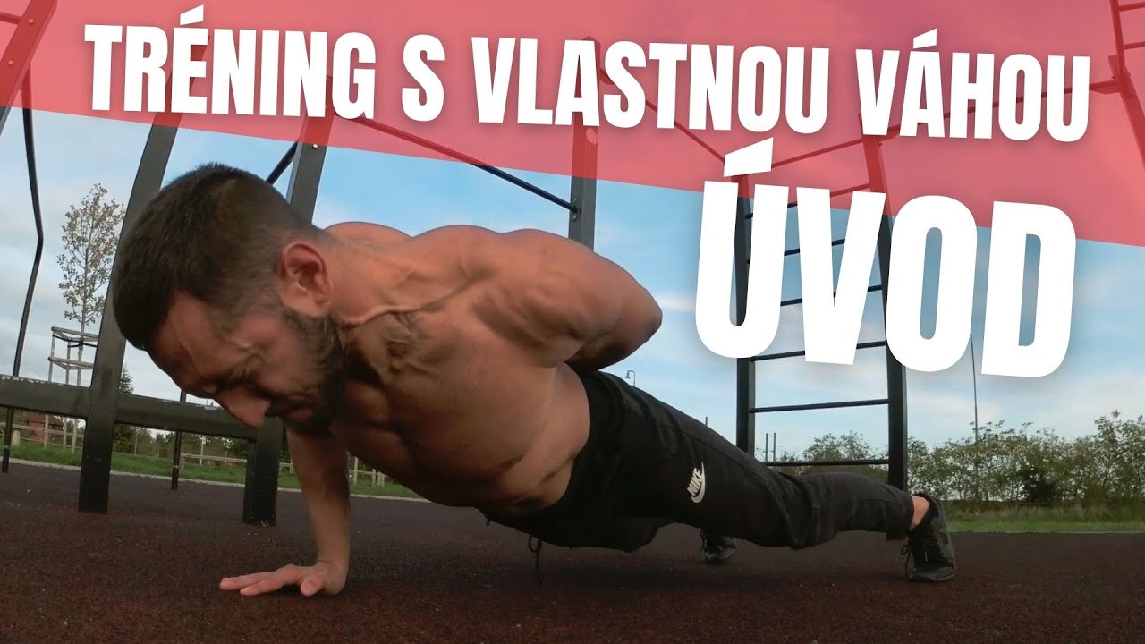 S&eacute;ria vlastn&aacute; v&aacute;ha - &uacute;vod
