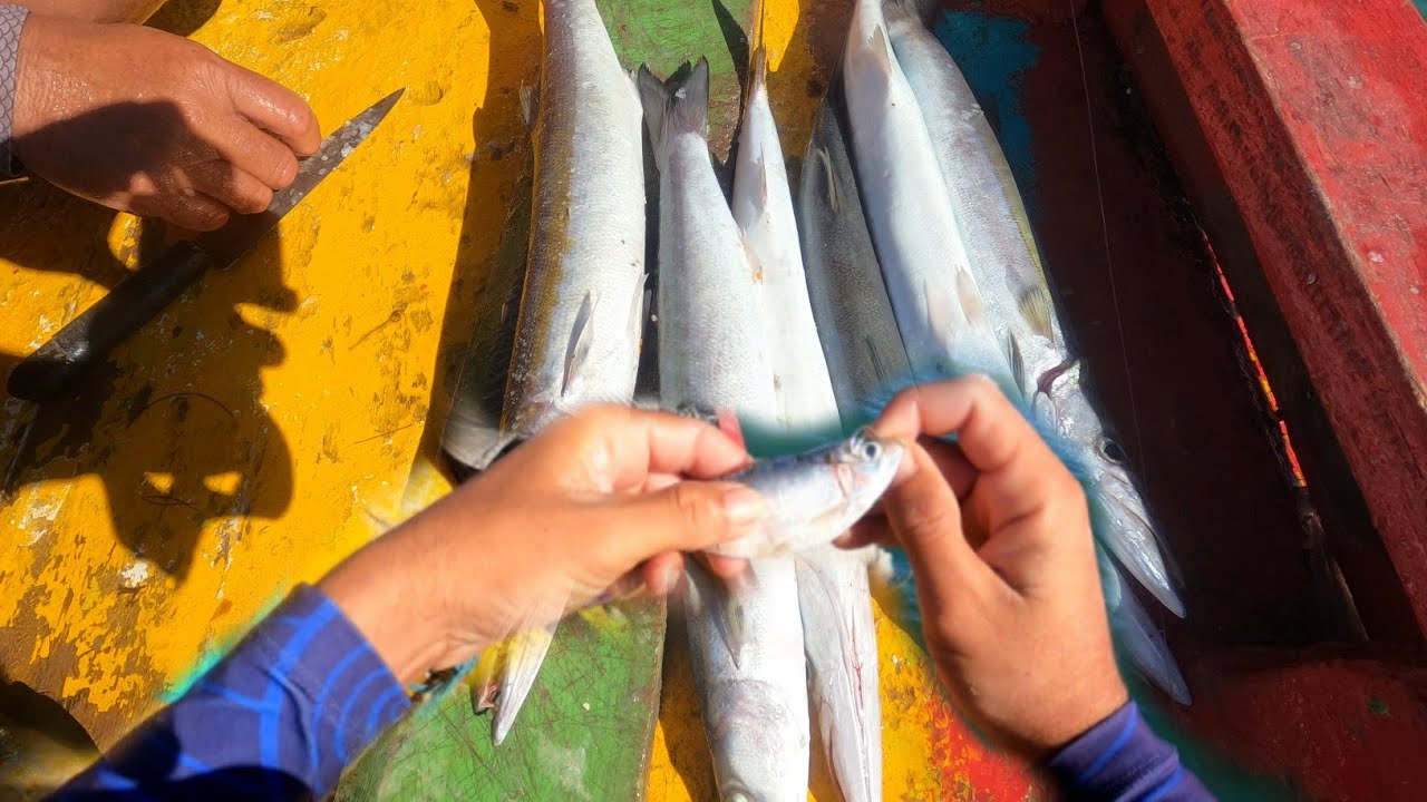 PESCARIA NO BARCO COM INSCRITO, COM ESSA ISCA &Eacute; S&Oacute; SE PREPARAR PRA PEGAR PEIXE!!!