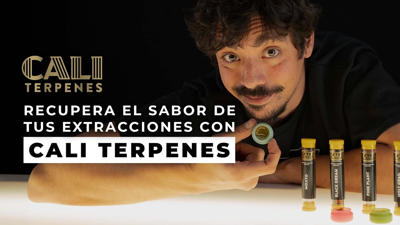 OBTÉN EXTRACTOS MÁS AROMÁTICOS Y POTENTES