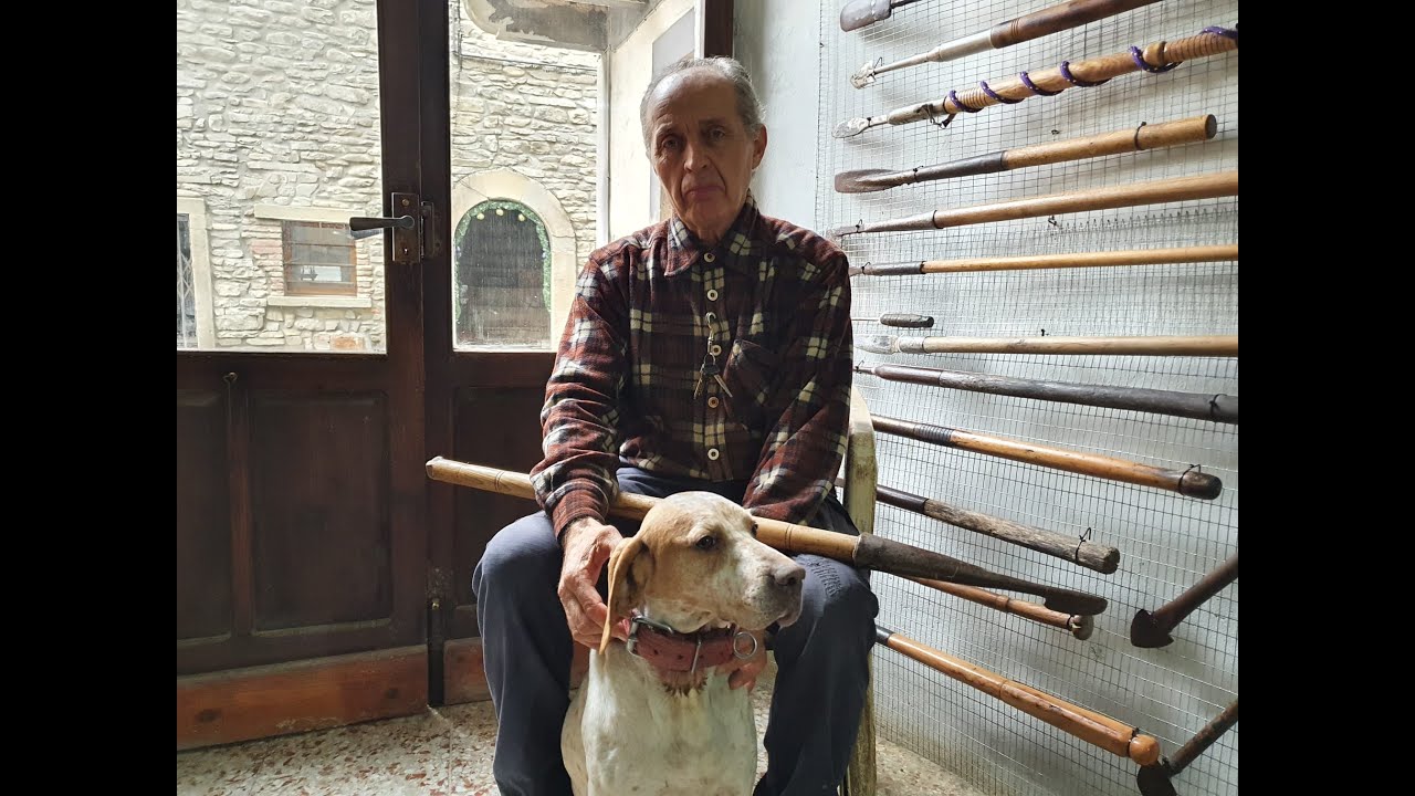 Pino Crestini da Sestino lancia l'allarme:«I cinghiali stanno distruggendo le nostre tartufaie»