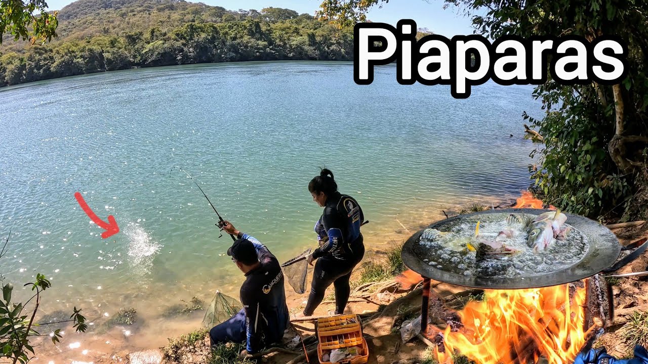Acampamento dia Perfeito para uma boa pescaria, Peixe frito saboroso no disco de arado! 