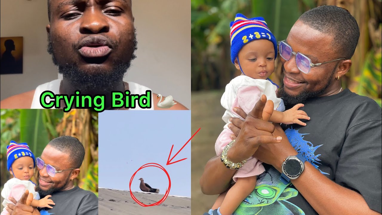 ANY MEANING?:This particular birds comes to cry at my window everytime while Junior is sleeping  