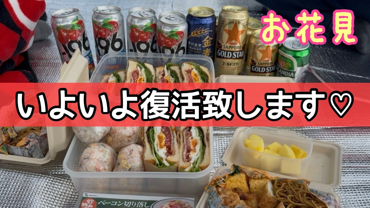 【お花見】メインチャンネル復活しました！これからまた宜しくお願いしまーす！