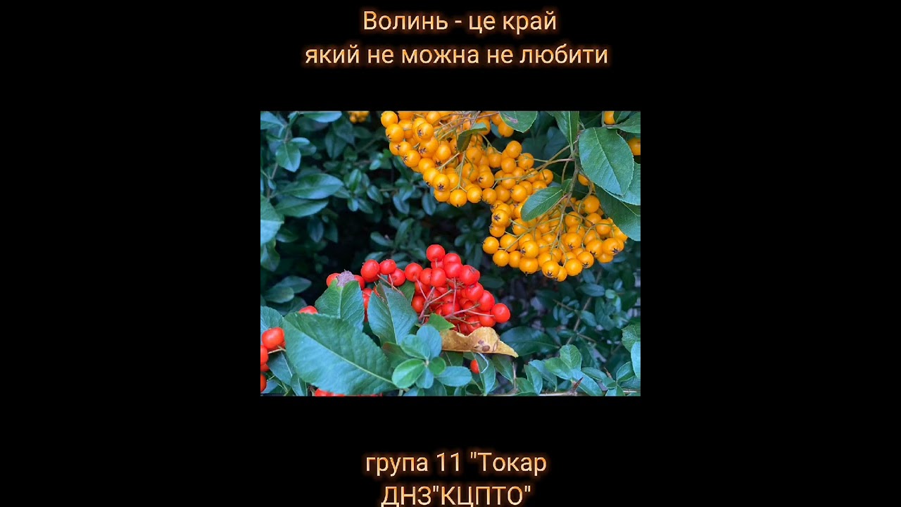 Група 11 