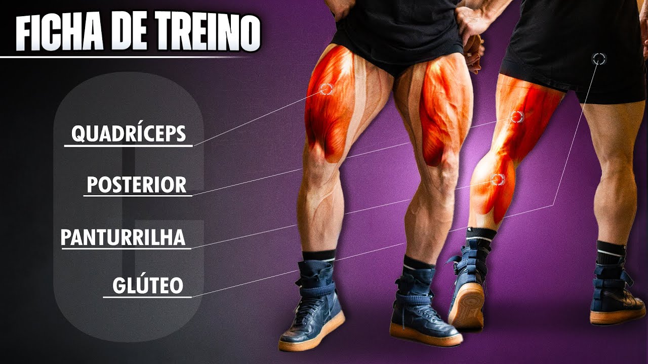 Montando um TREINO C de COXA , POSTERIOR e PANTURRILHA (Todos Exercícios + nº de Séries)