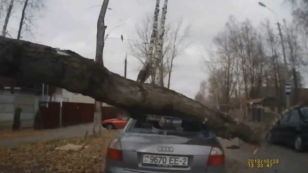 Fails Compilation 2013 November || Best Fails! / Лучшие фэйлы за ноябрь 2013!