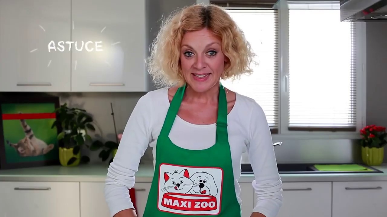 MAXIZOO - Friandises pour chat
