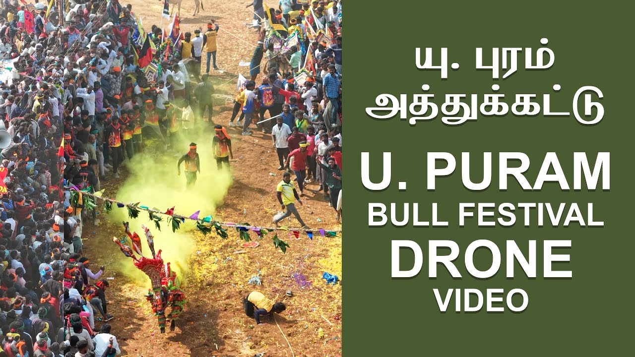 U.Puram Adhukattu Bull Festival | U புரம் எருது விடும் விழா| கிருஷ்ணகிரி #animals #jallikattu #bull