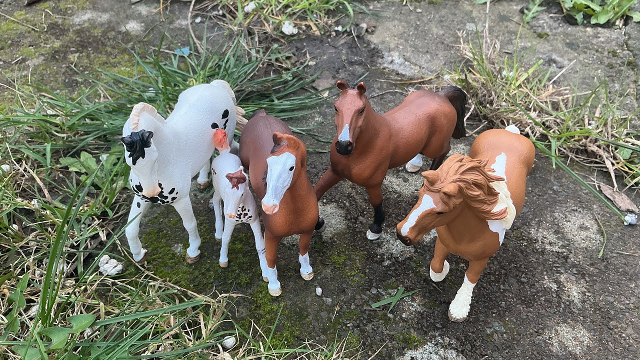 Same new wild horses and they will be outside 🐎