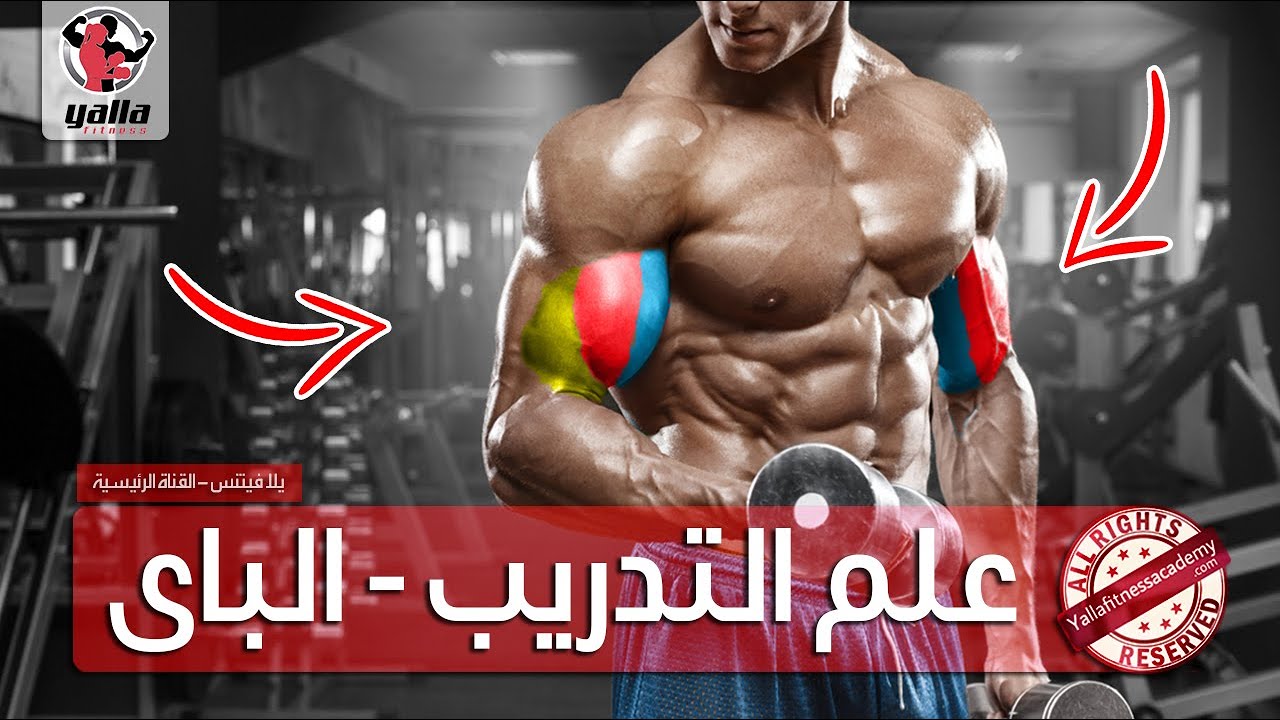 أسرار علم التدريب | الباي (ما لا يخبرك به المدربون)