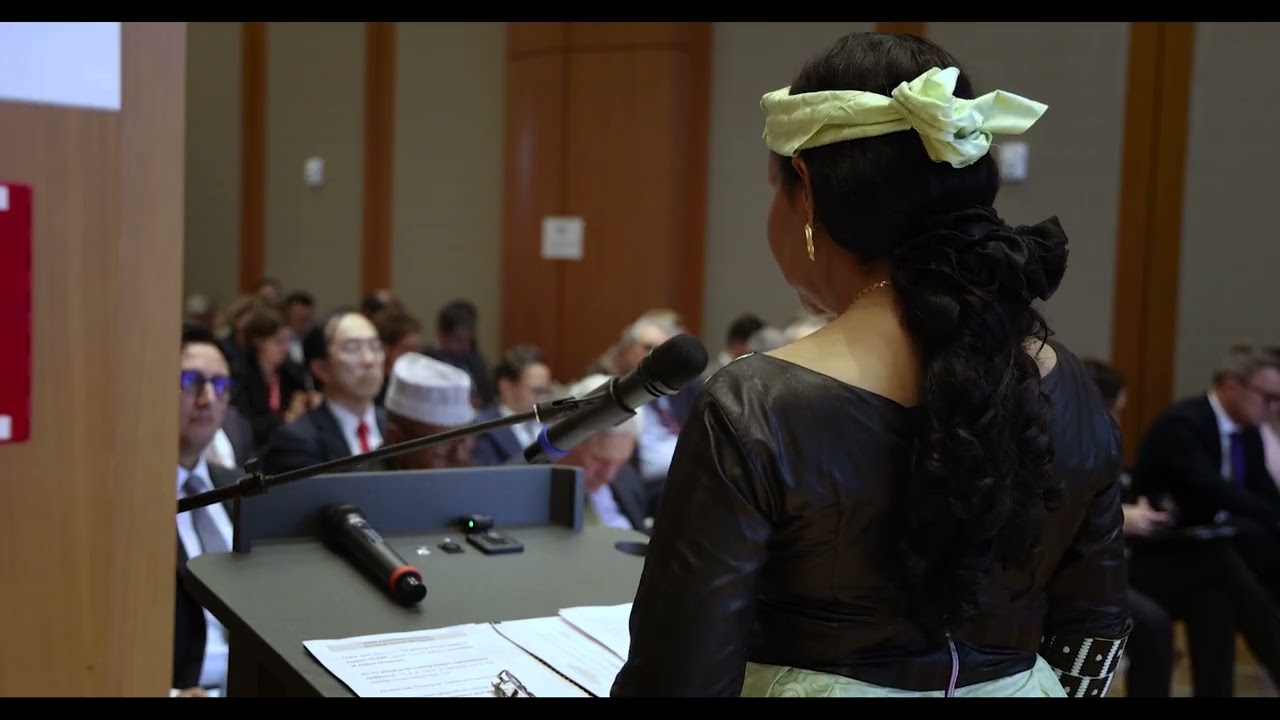 Remarks from Chad - GCERF's Second Pledging Conference