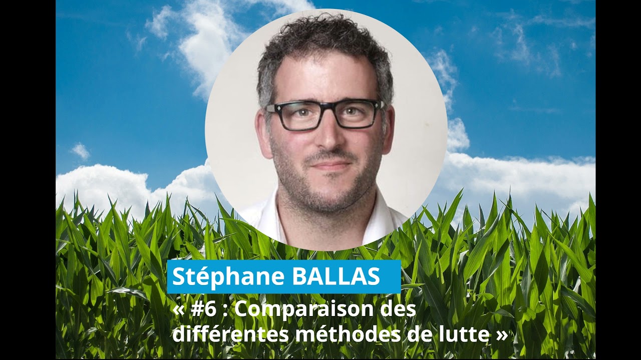 #6 - Comparaison des différentes méthodes de lutte