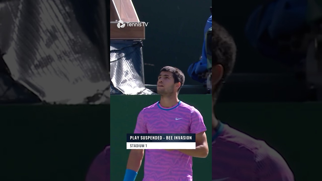 When Tennis Is Interrupted By BEES 😳🐝